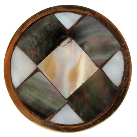 Mixed Shell Brass Knobs